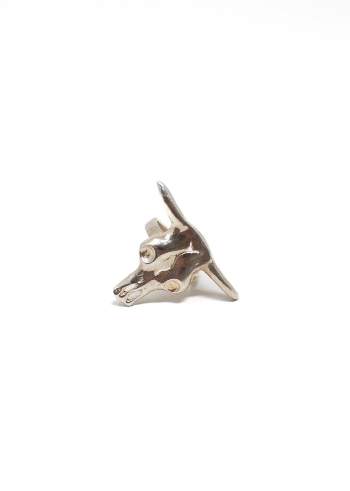 Anillo Toro