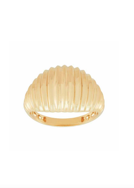 Anillo Shell